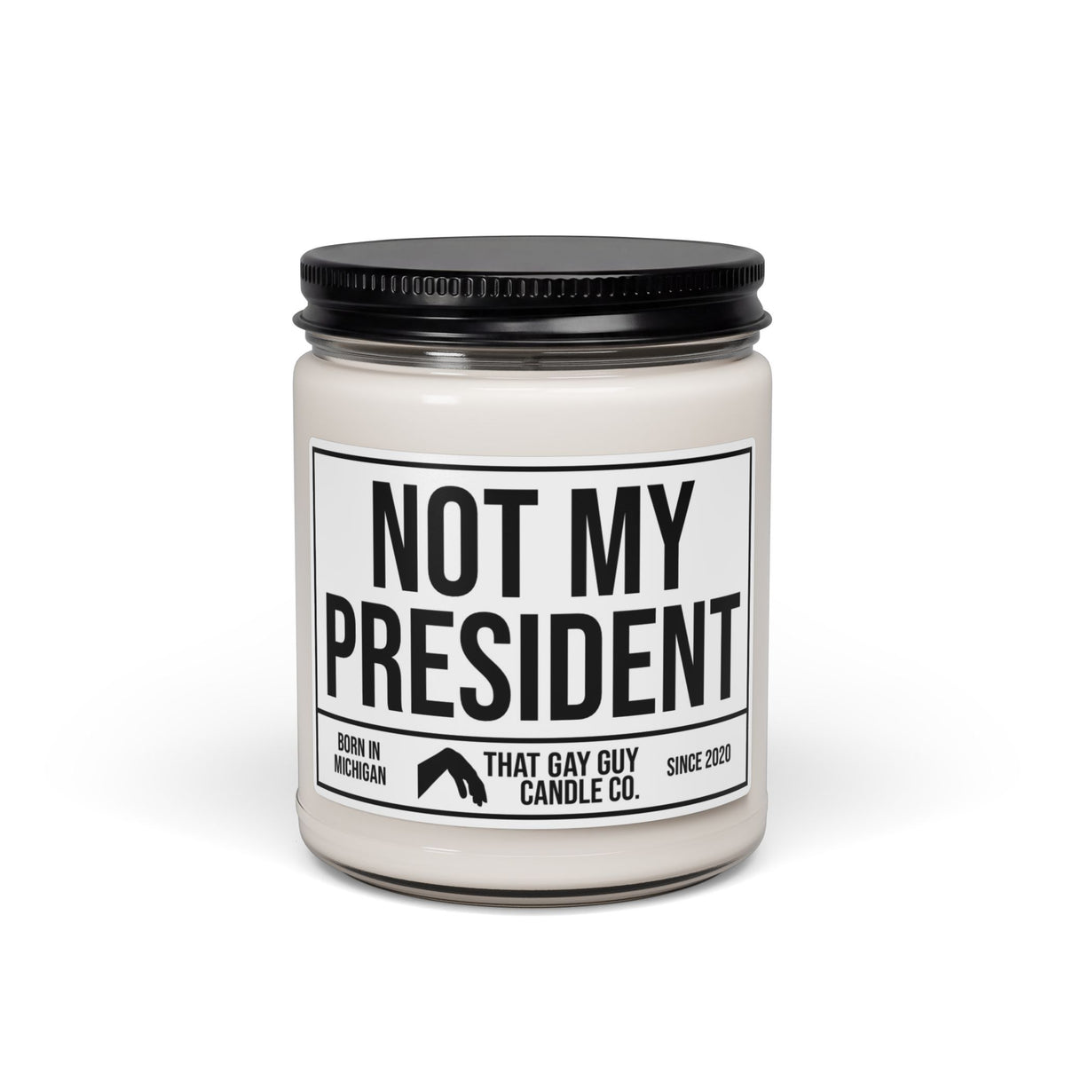 NOT MY PRESIDENT