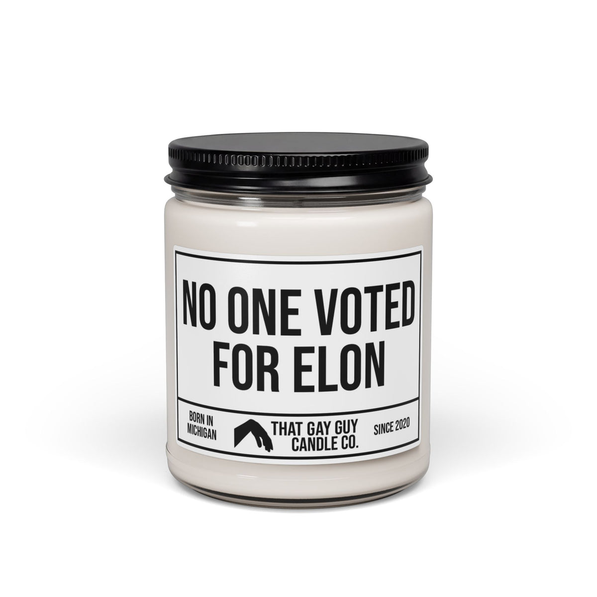NO ONE VOTED FOR ELON