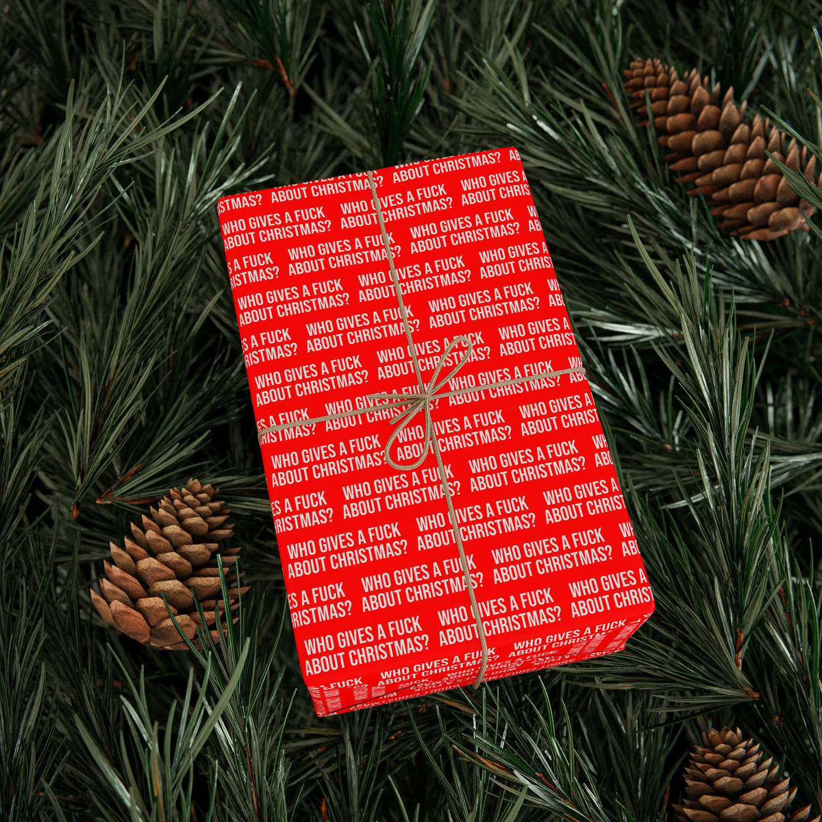 WHO GIVES A FUCK ABOUT CHRISTMAS WRAPPING PAPER
