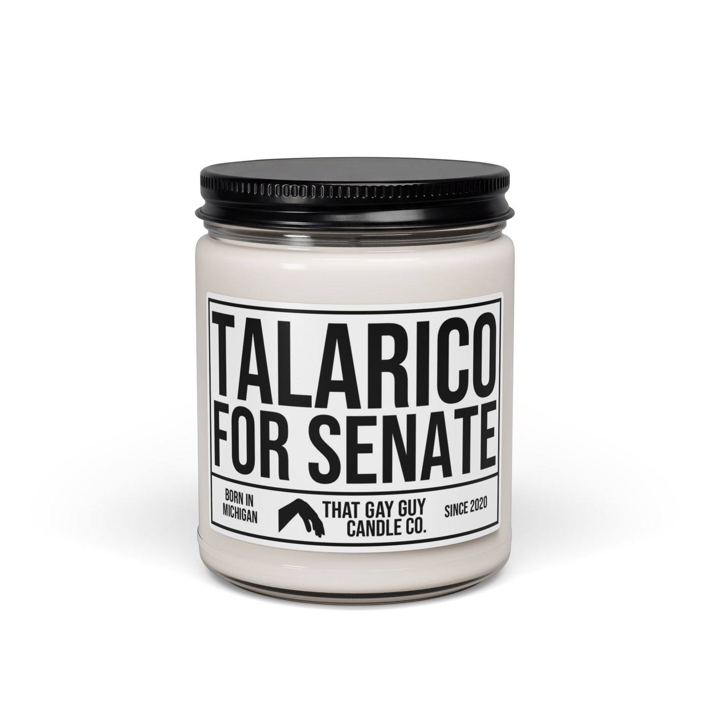 TALARICO FOR SENATE