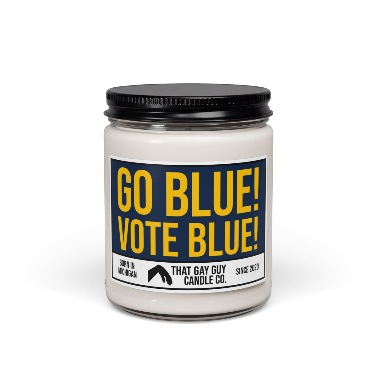 GO BLUE VOTE BLUE