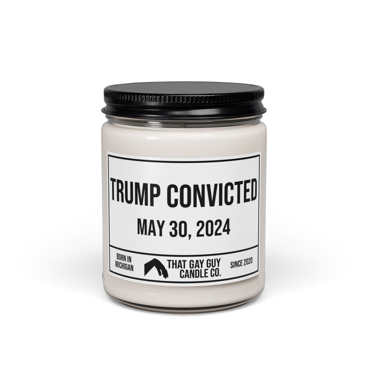 TRUMP CONVICTED - MAY 30, 2024