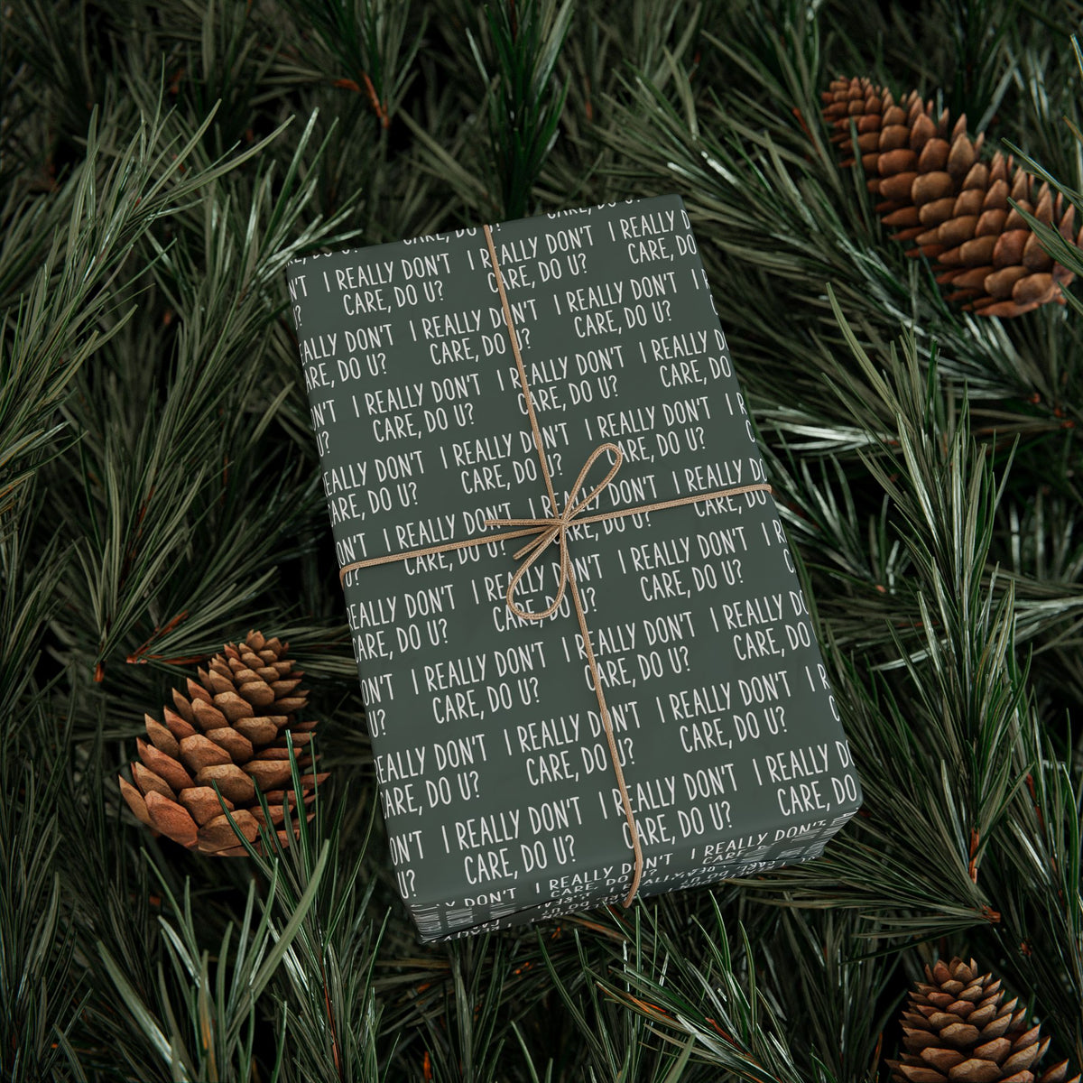I REALLY DON'T CARE DO YOU WRAPPING PAPER