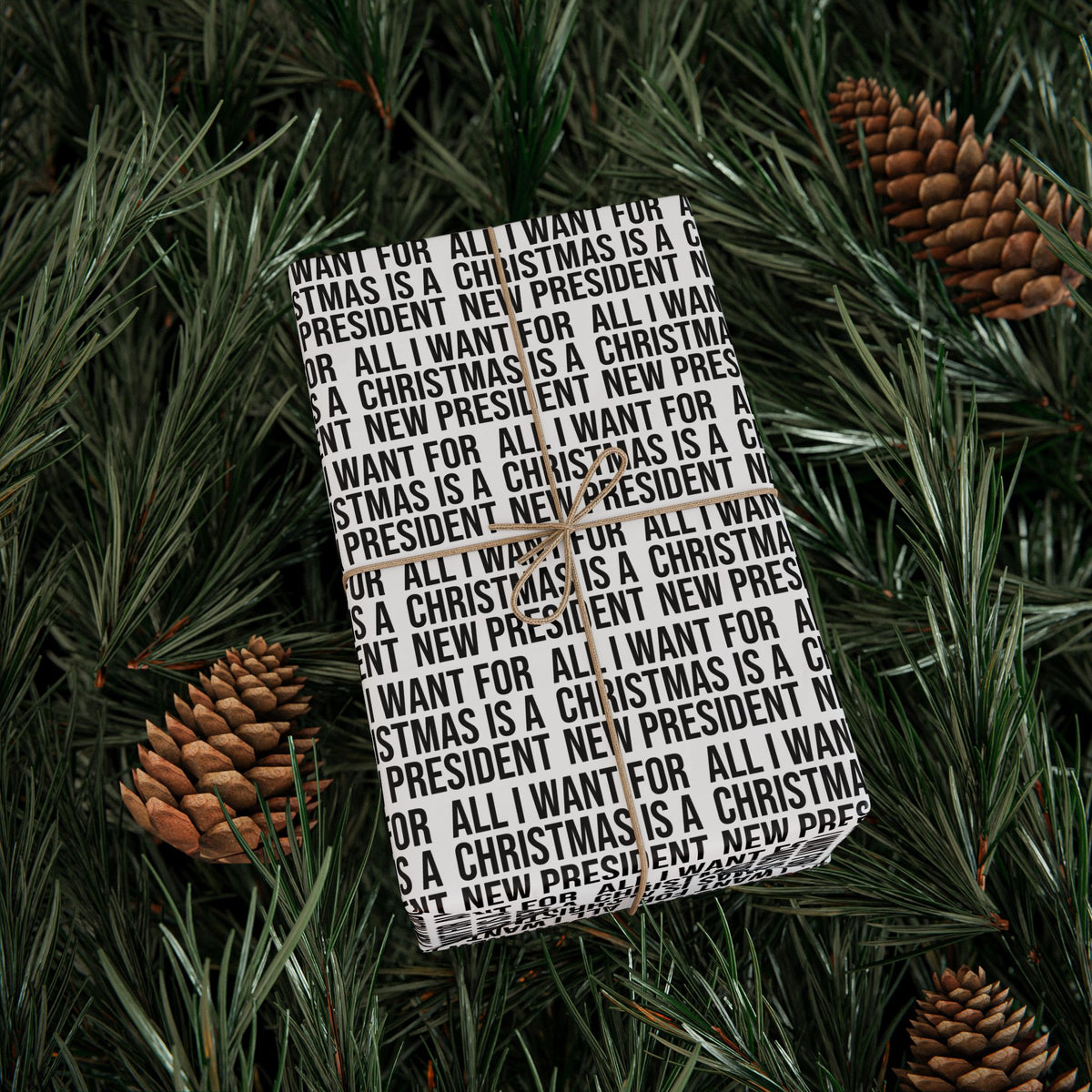 ALL I WANT FOR CHRISTMAS IS A NEW PRESIDENT WRAPPING PAPER