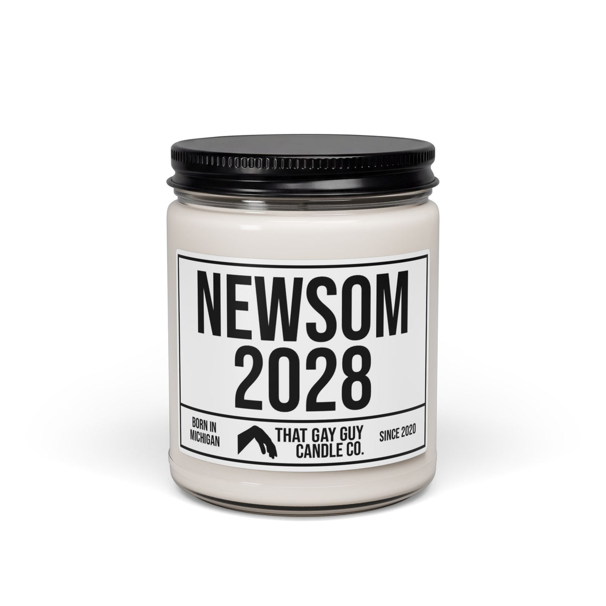 NEWSOM 2028