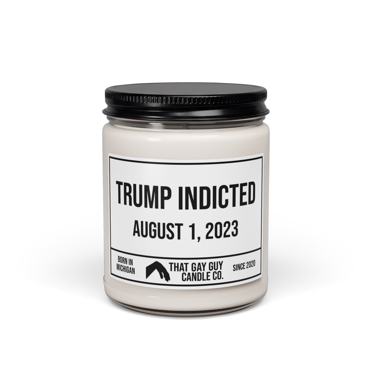TRUMP INDICTED - AUGUST 1, 2023