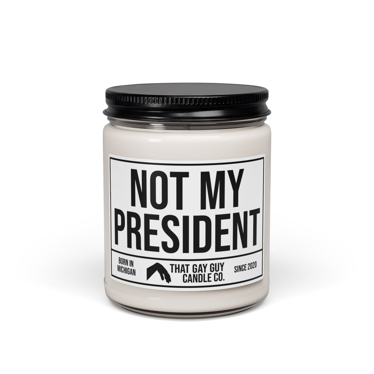 NOT MY PRESIDENT