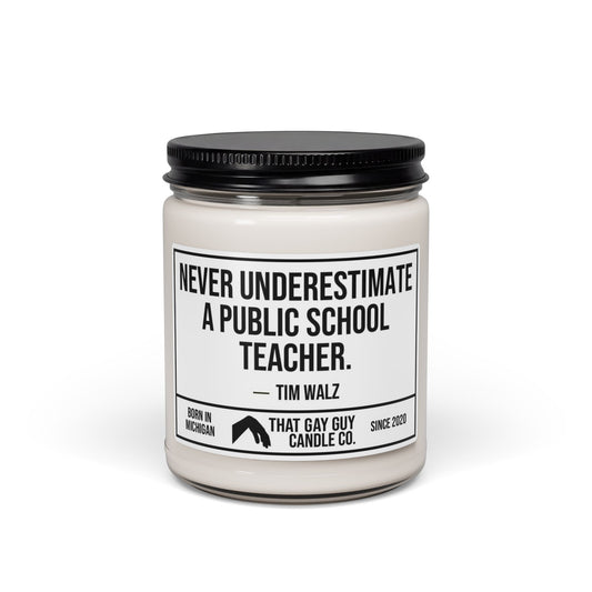NEVER UNDERESTIMATE A PUBLIC SCHOOL TEACHER