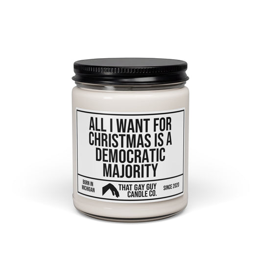 ALL I WANT FOR CHRISTMAS IS A DEMOCRATIC MAJORITY