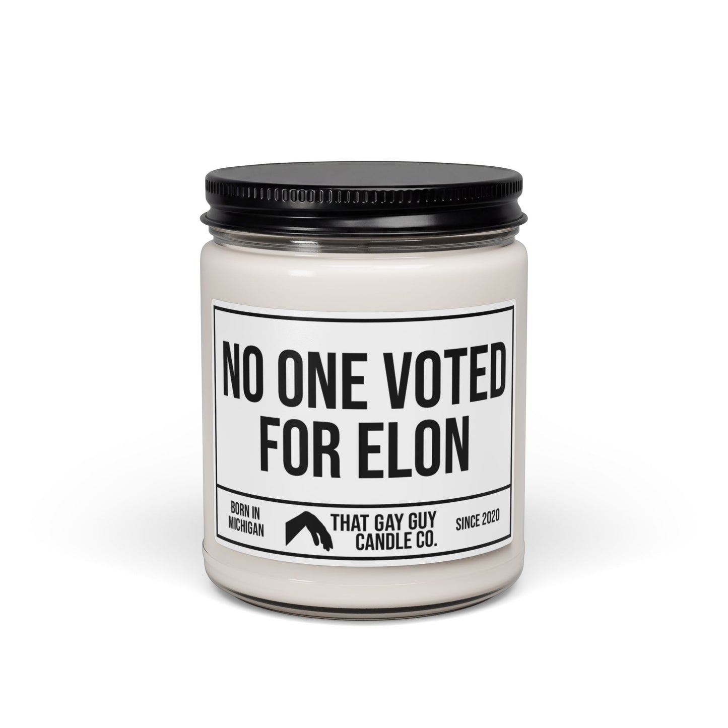 NO ONE VOTED FOR ELON