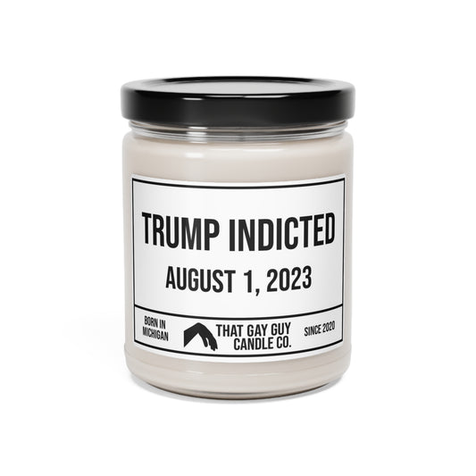 TRUMP INDICTED - AUGUST 1, 2023