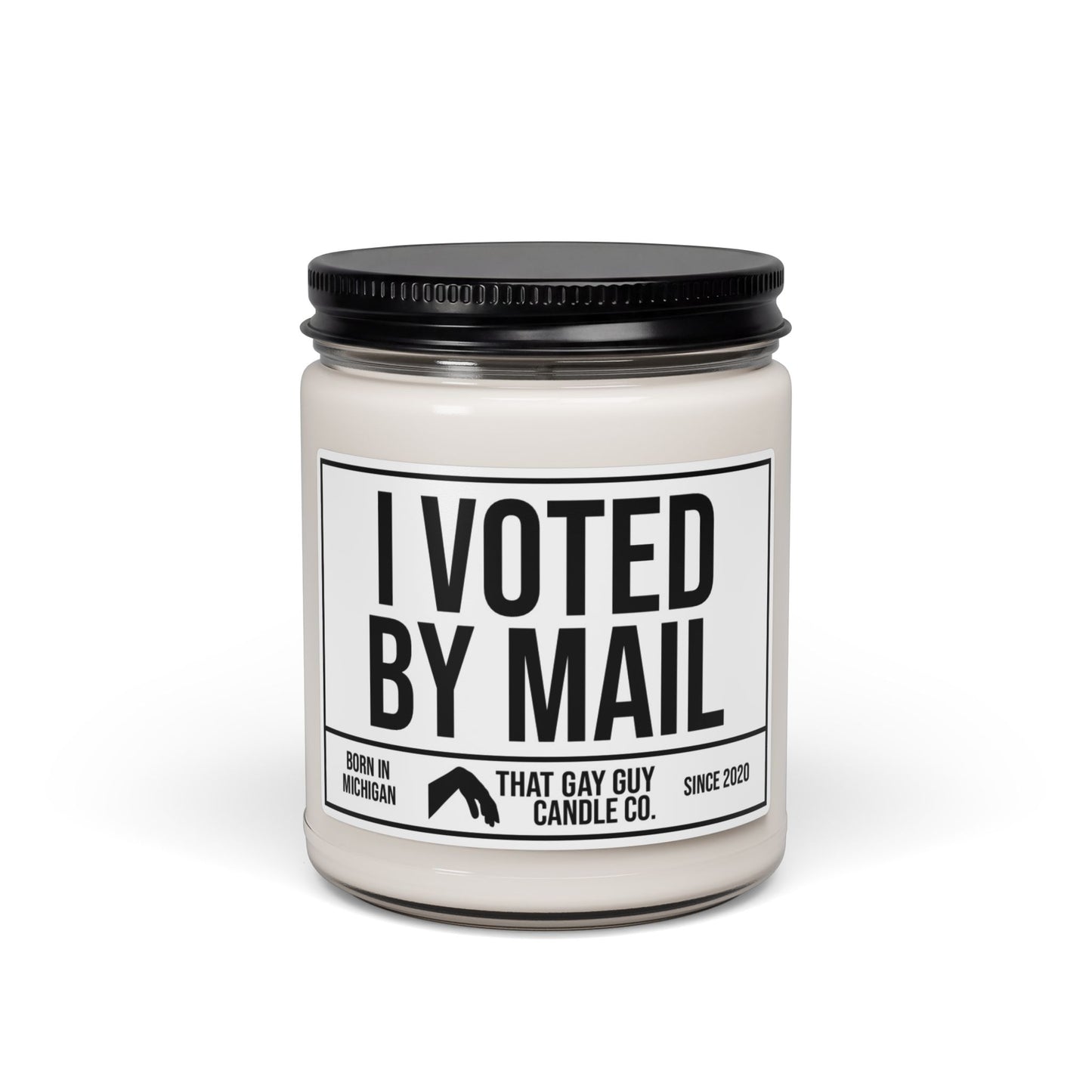 I VOTED BY MAIL