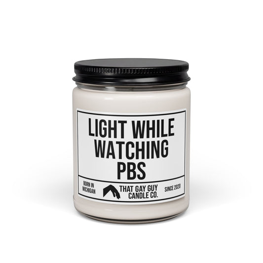 LIGHT WHILE WATCHING PBS