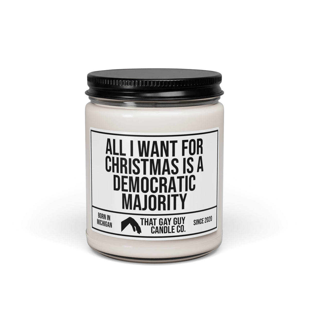 ALL I WANT FOR CHRISTMAS IS A DEMOCRATIC MAJORITY