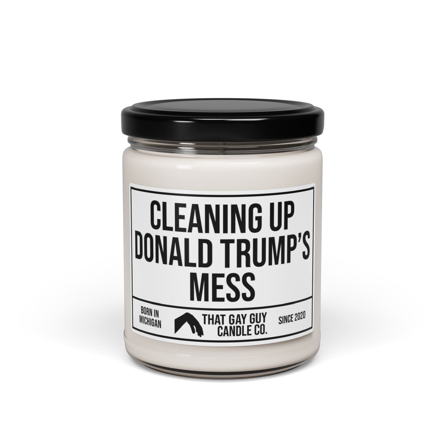 CLEANING UP DONALD TRUMP'S MESS