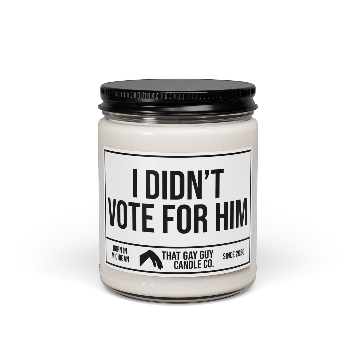 I DIDN'T VOTE FOR HIM