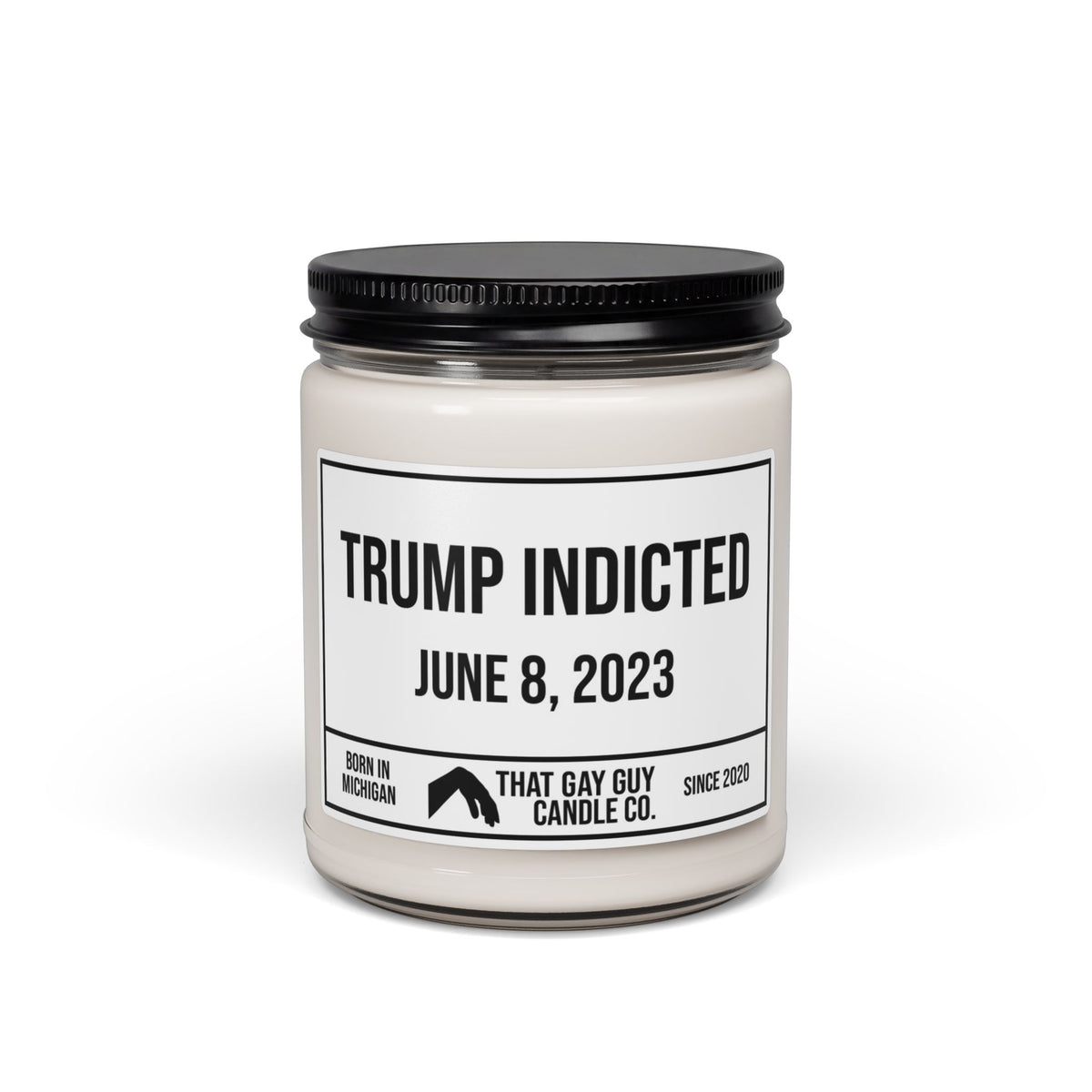 TRUMP INDICTED - JUNE 8, 2023