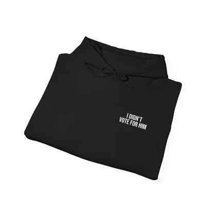 ALL-GENDER EMBROIDERED I DIDN'T VOTE FOR HIM HOODIE