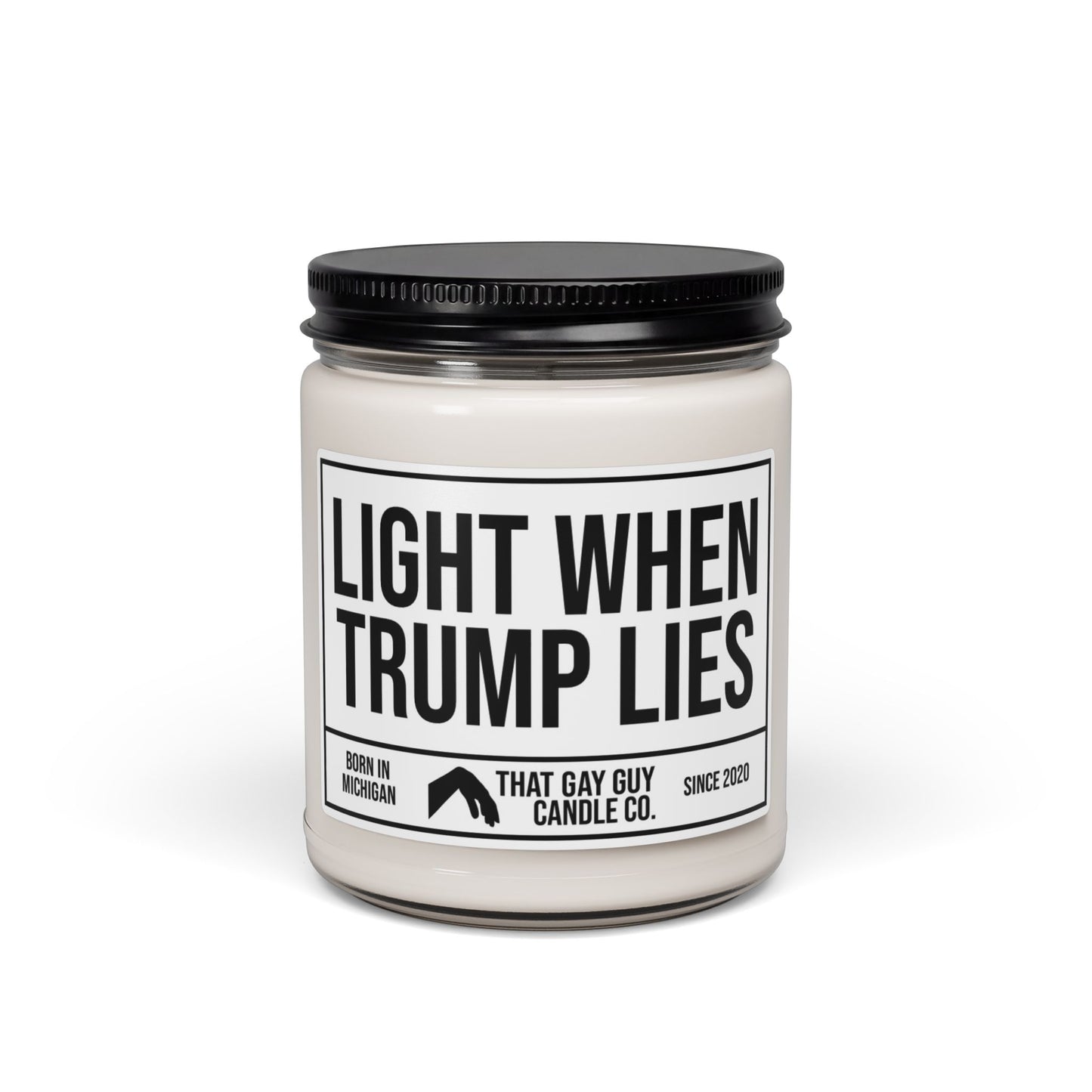 LIGHT WHEN TRUMP LIES