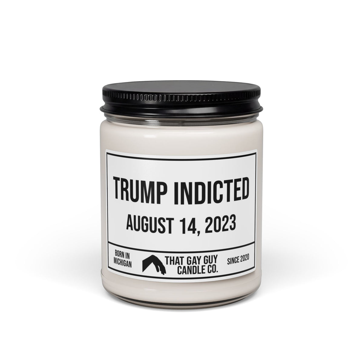 TRUMP INDICTED - AUGUST 14, 2023