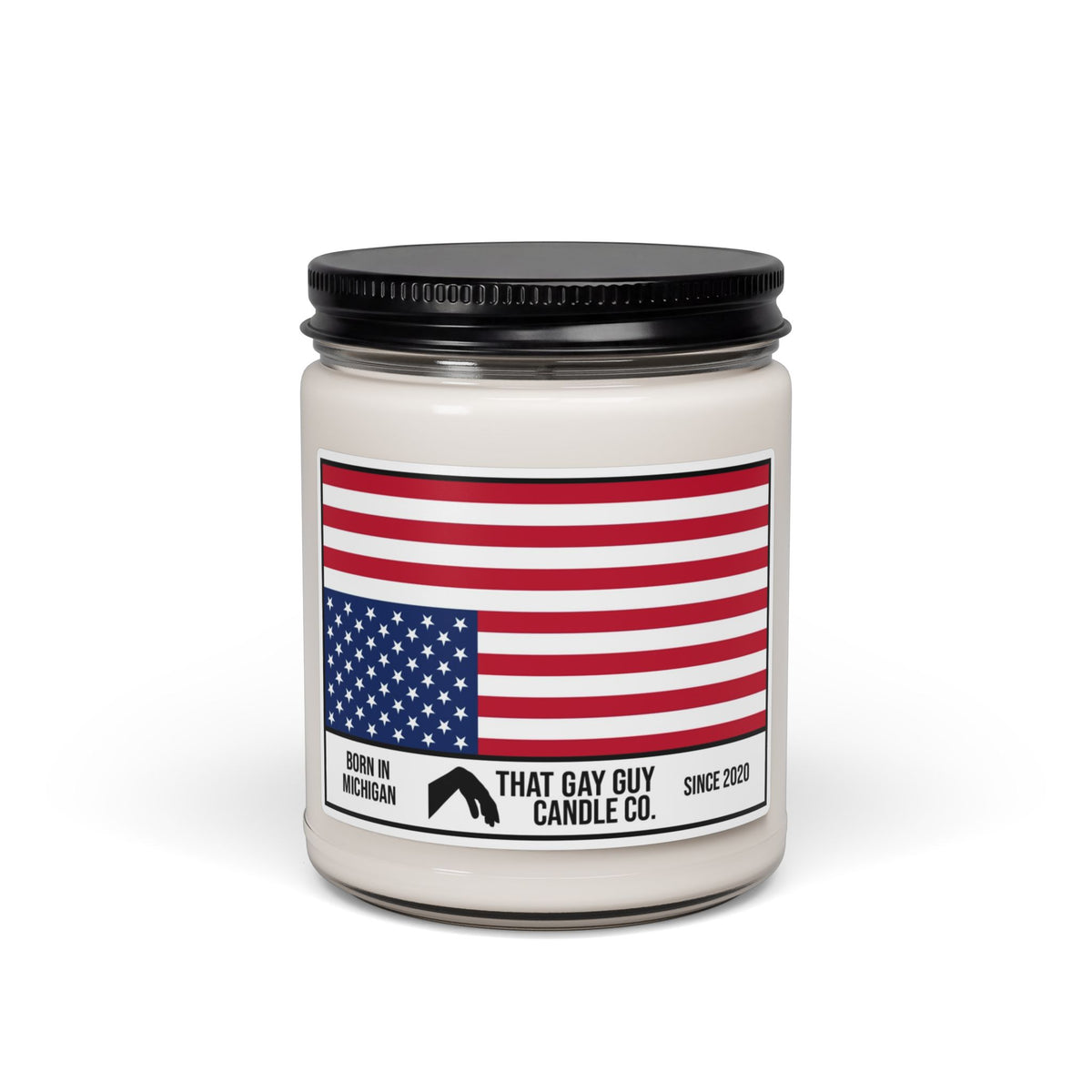 AMERICA IN DISTRESS