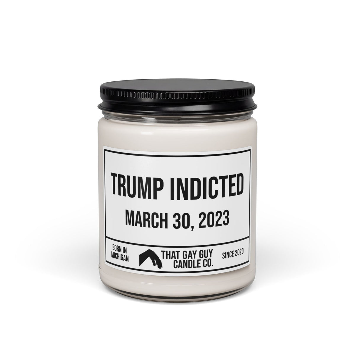 TRUMP INDICTED - MARCH 30, 2023