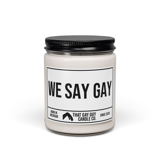 WE SAY GAY