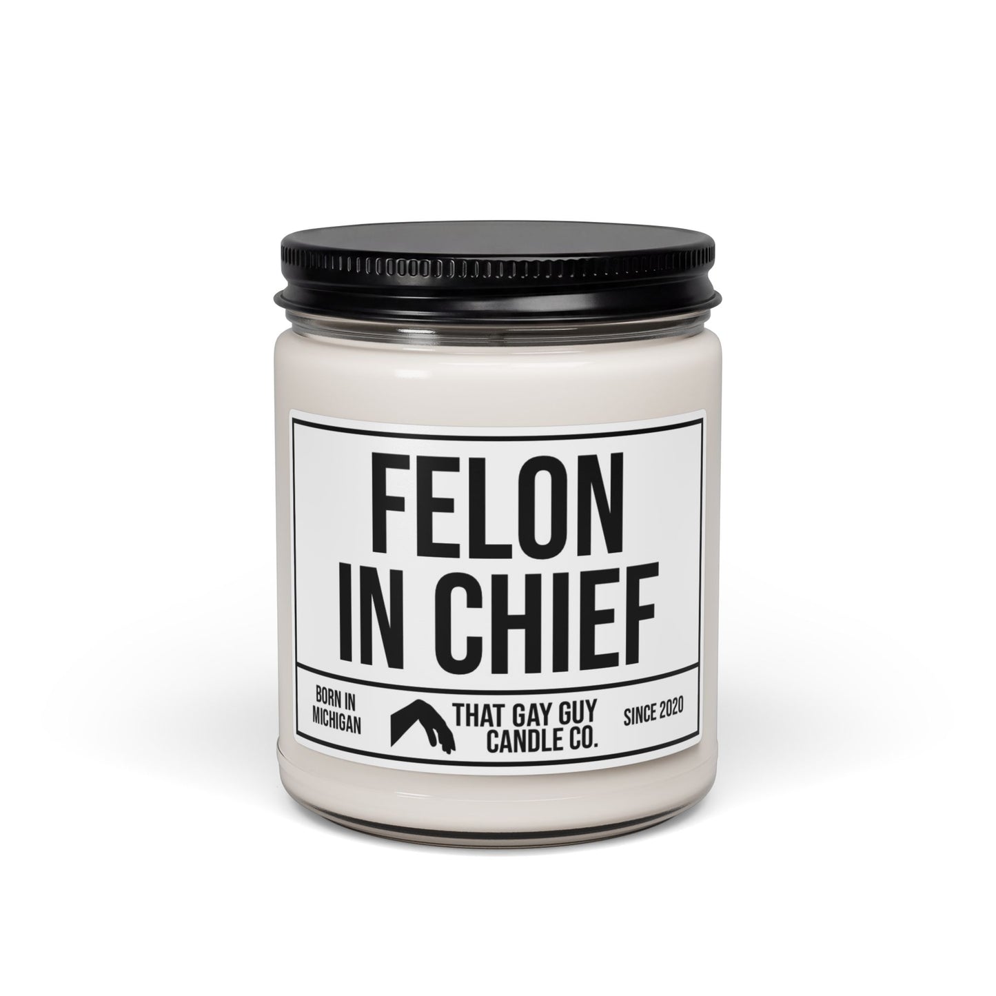 FELON IN CHIEF
