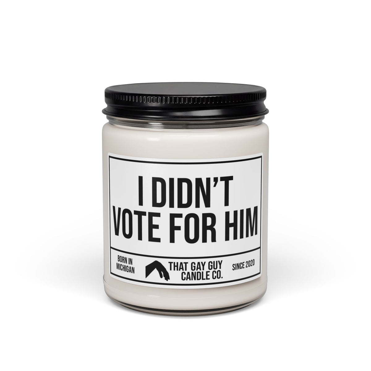 I DIDN'T VOTE FOR HIM