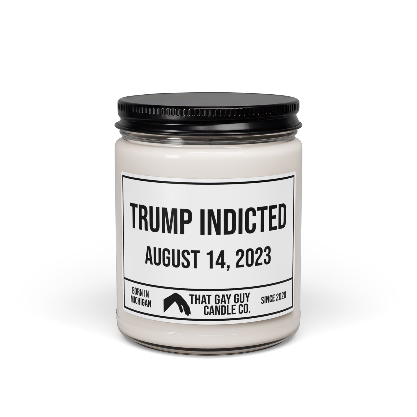 TRUMP INDICTED - AUGUST 14, 2023