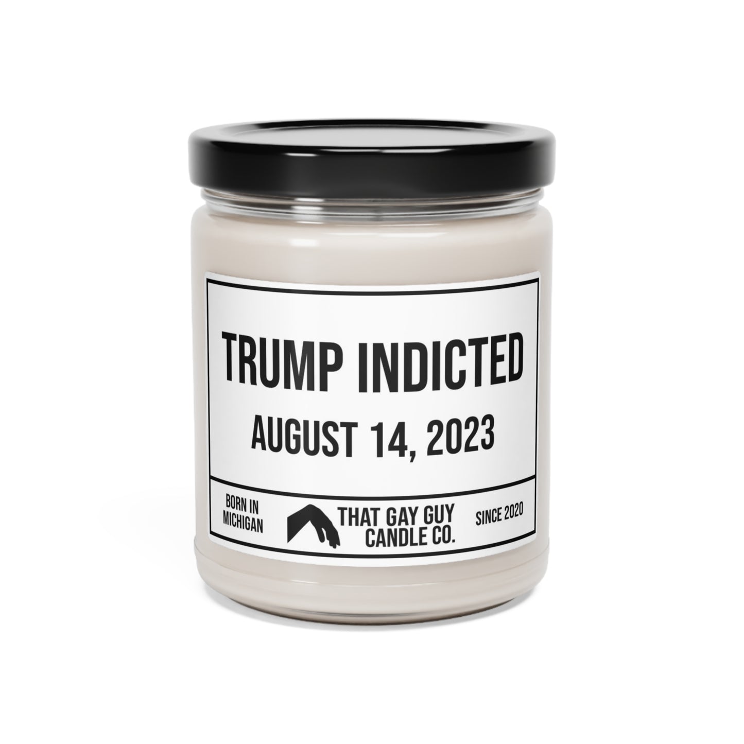 TRUMP INDICTED - AUGUST 14, 2023