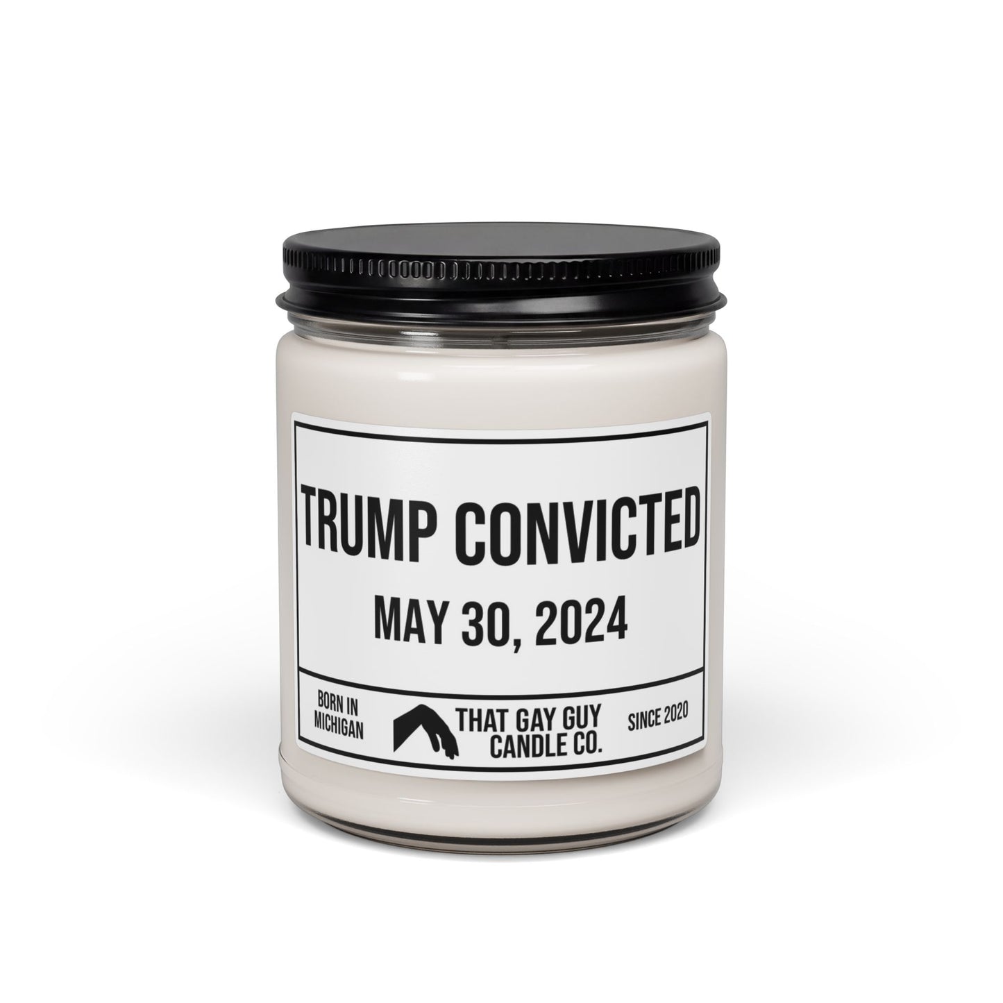 TRUMP CONVICTED - MAY 30, 2024