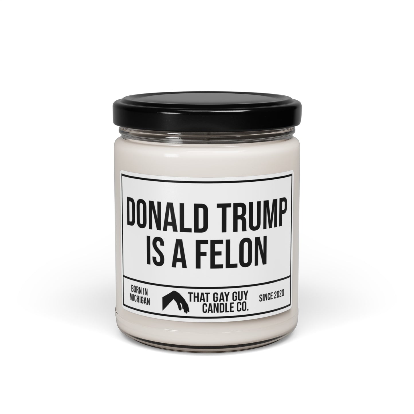 DONALD TRUMP IS A FELON