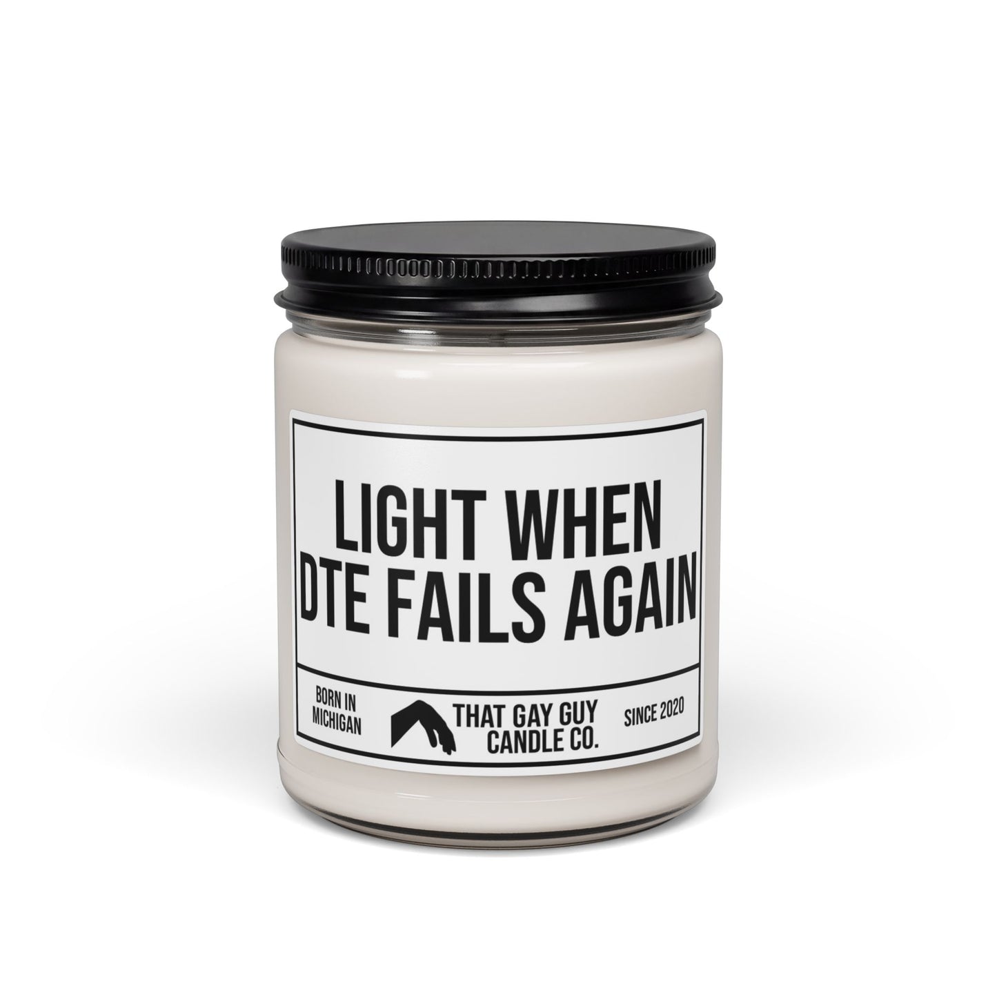 LIGHT WHEN DTE FAILS AGAIN