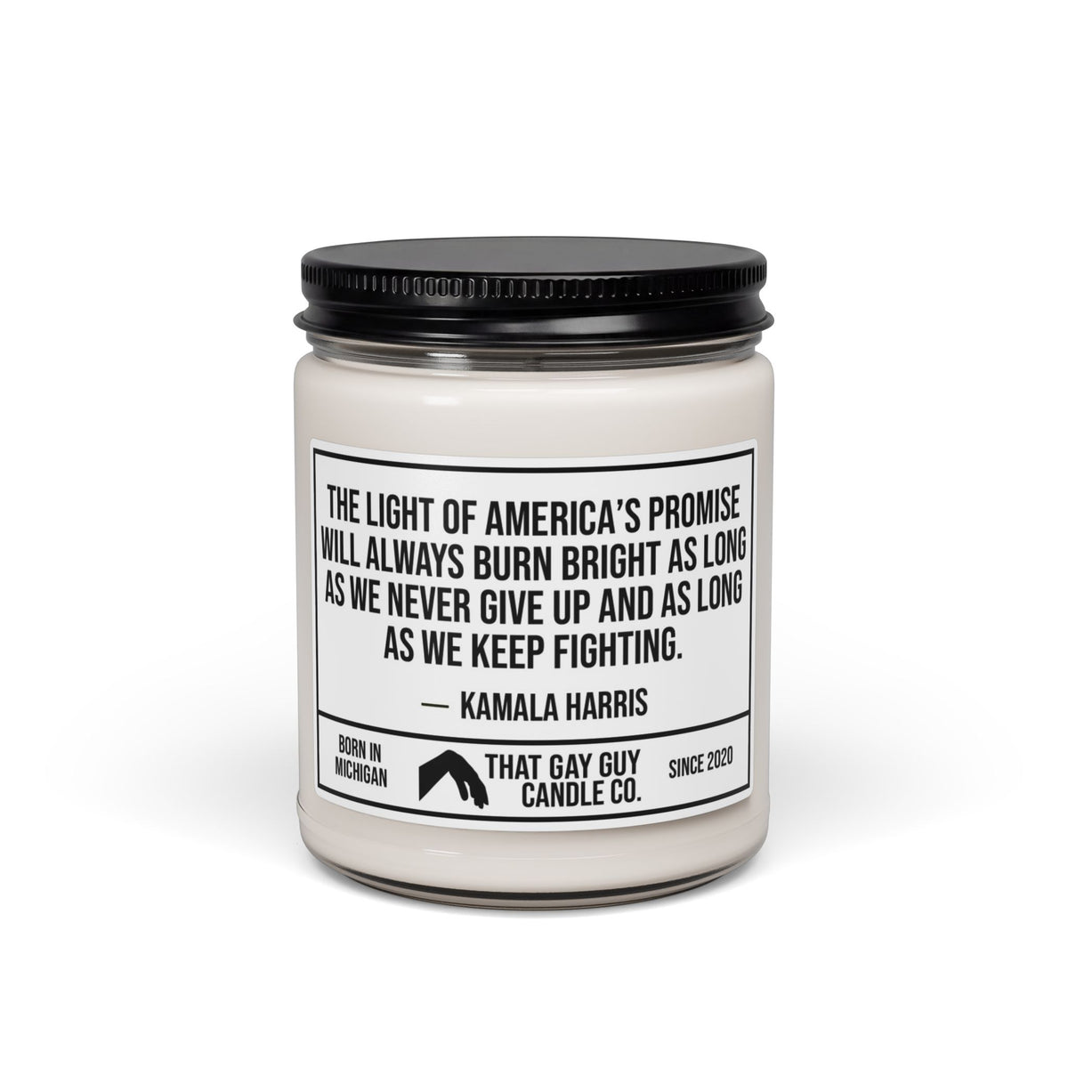 THE LIGHT OF AMERICA'S PROMISE
