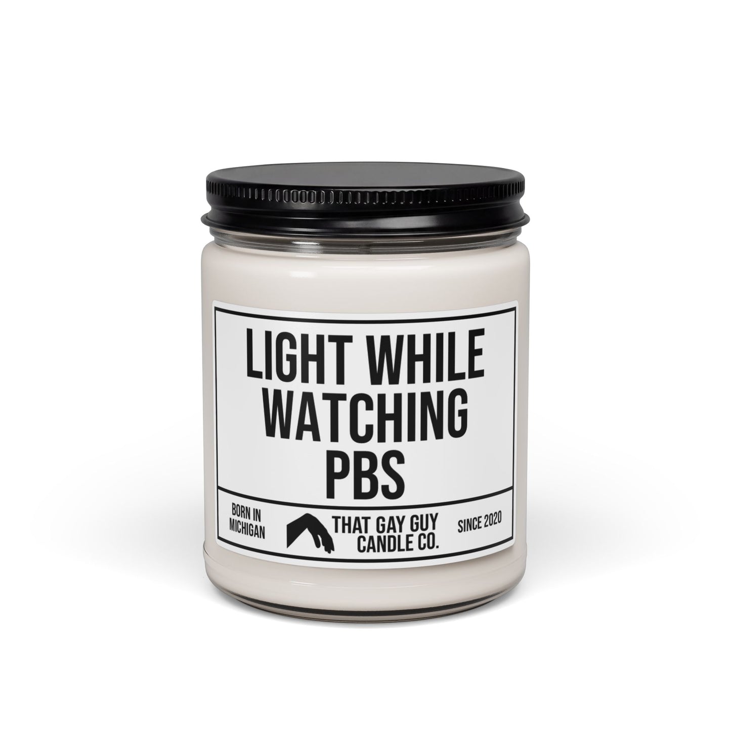 LIGHT WHILE WATCHING PBS