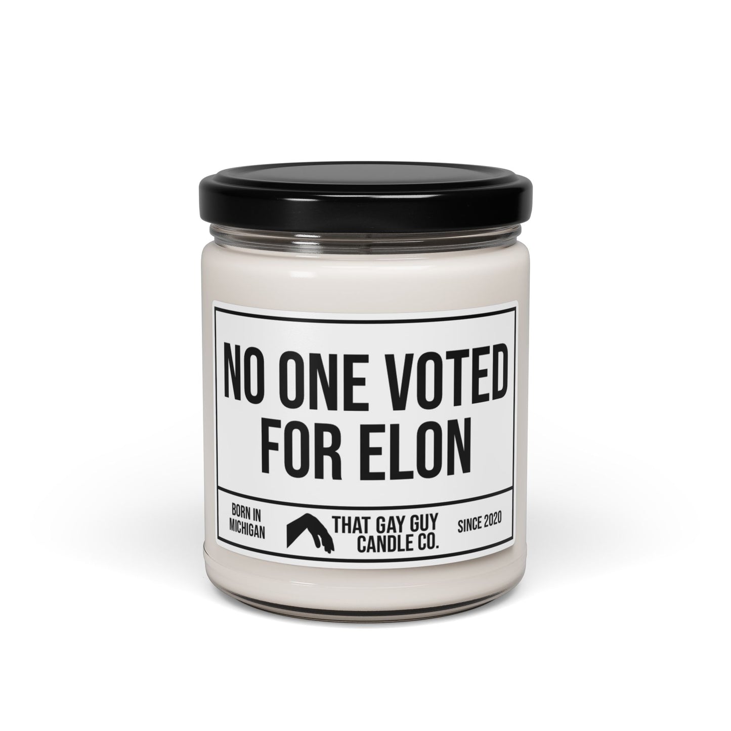 NO ONE VOTED FOR ELON