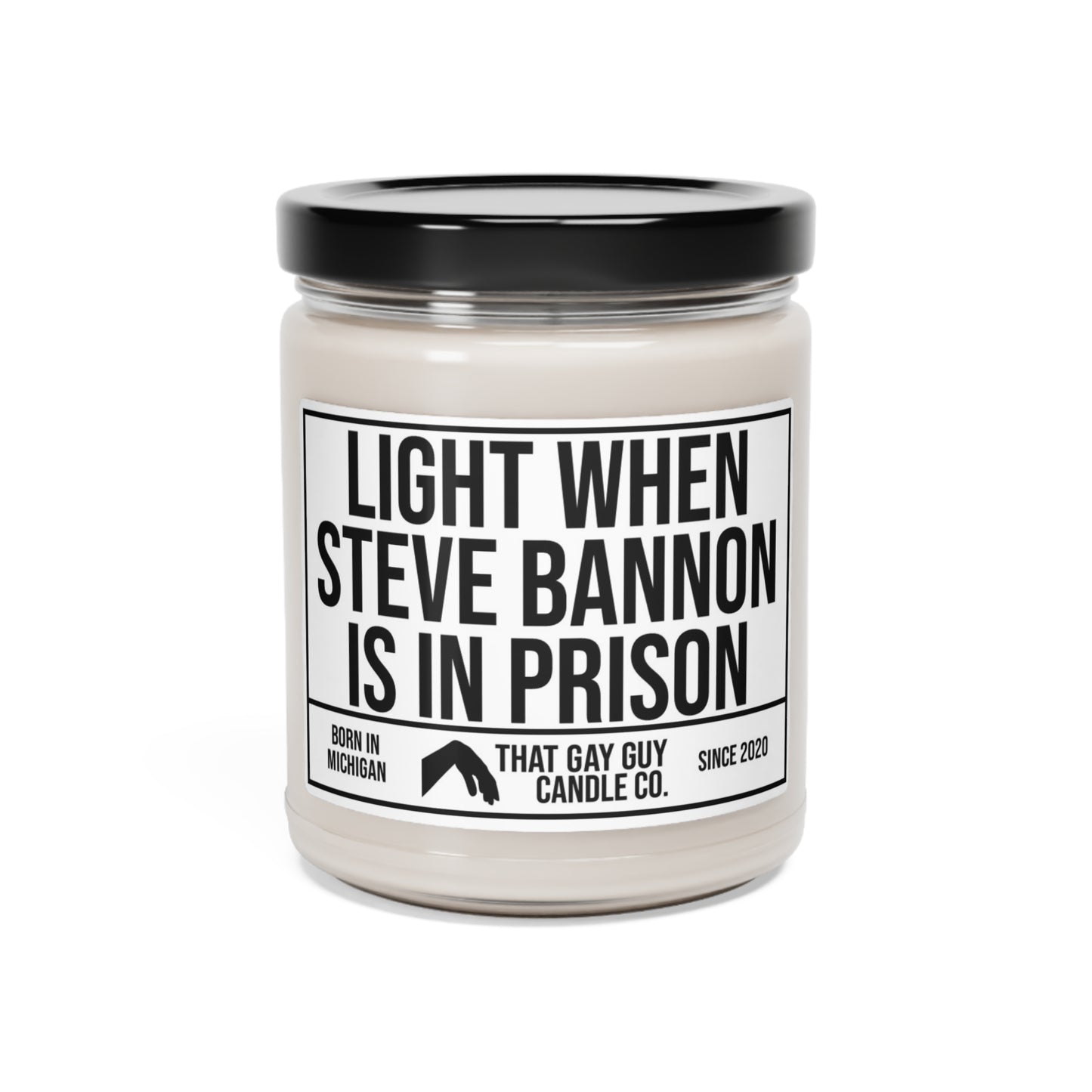 LIGHT WHEN STEVE BANNON IS IN PRISON