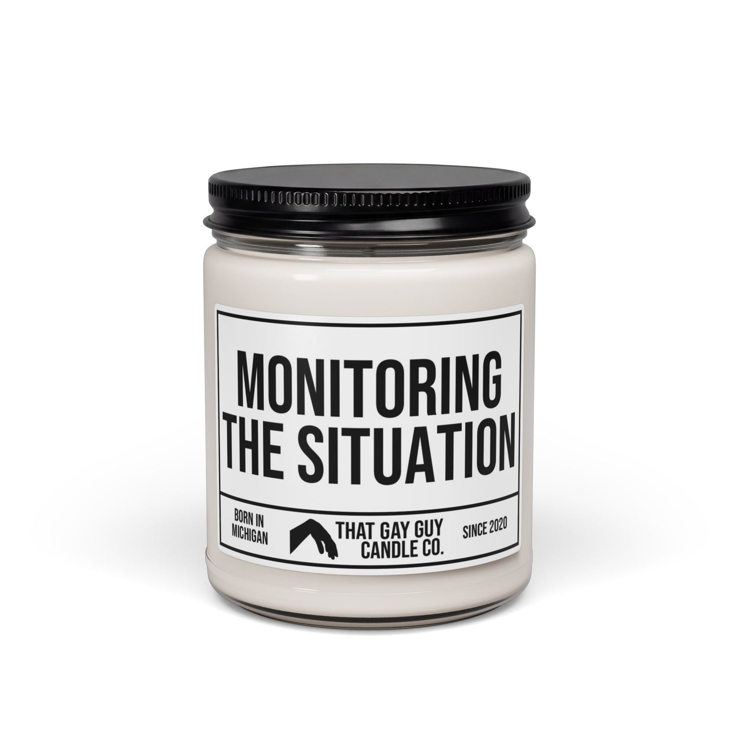 MONITORING THE SITUATION