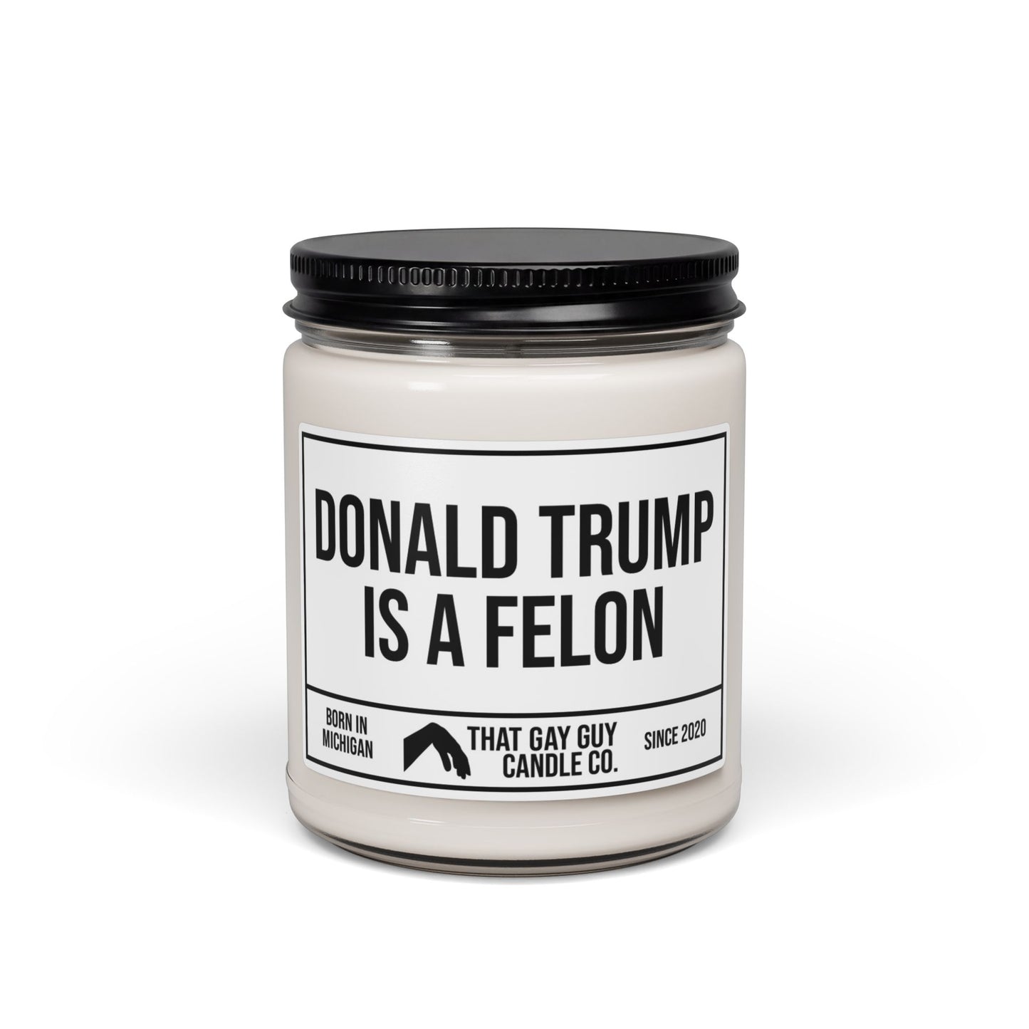 DONALD TRUMP IS A FELON