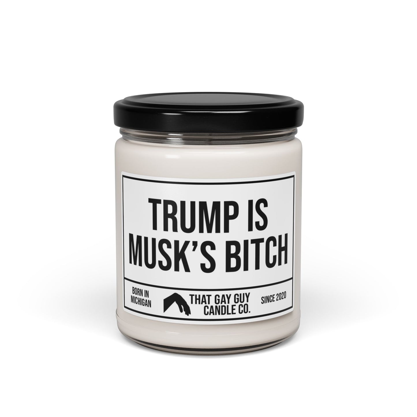 TRUMP IS MUSK'S BITCH