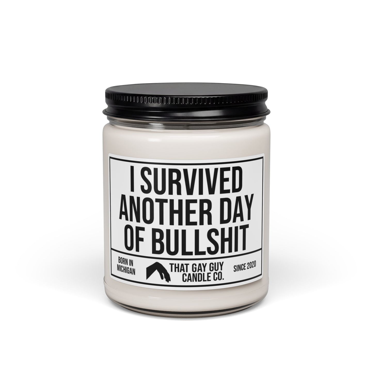 I SURVIVED ANOTHER DAY OF BULLSHIT