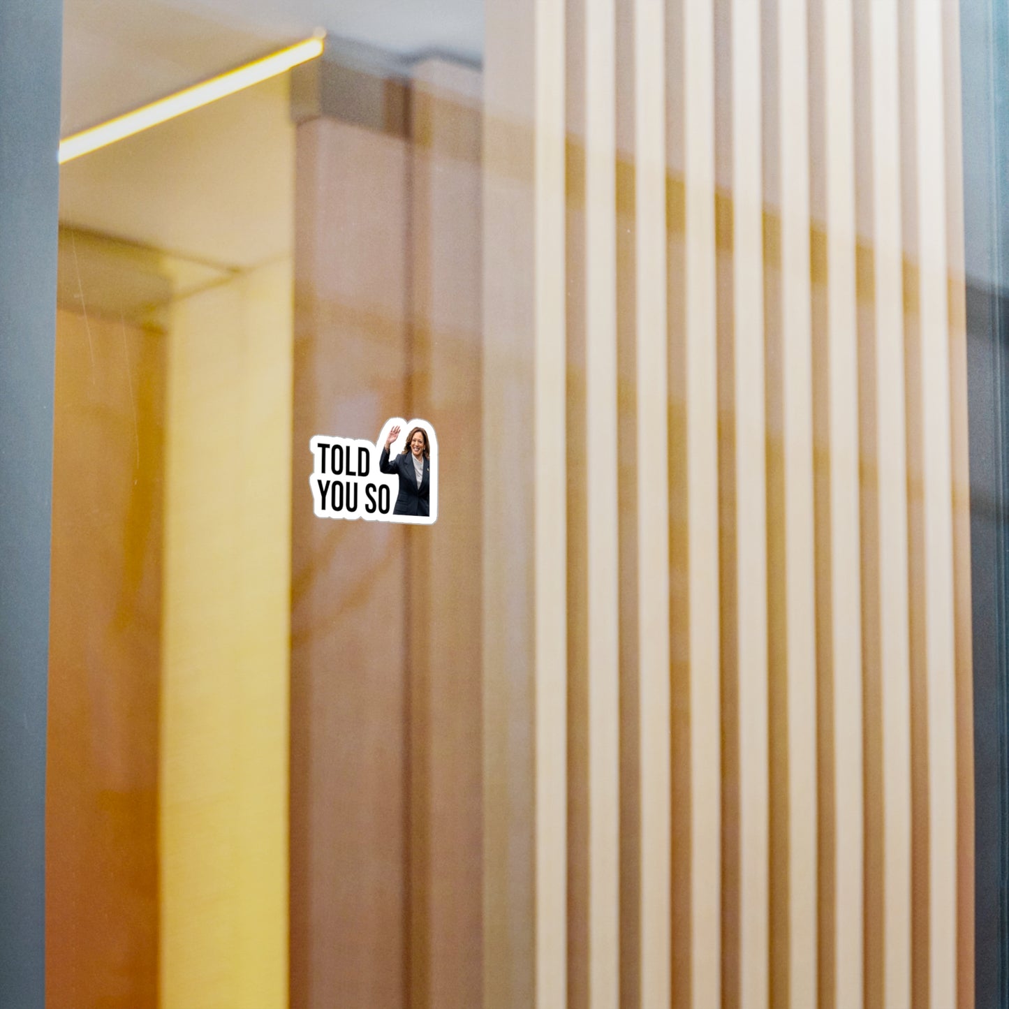 TOLD YOU SO STICKER