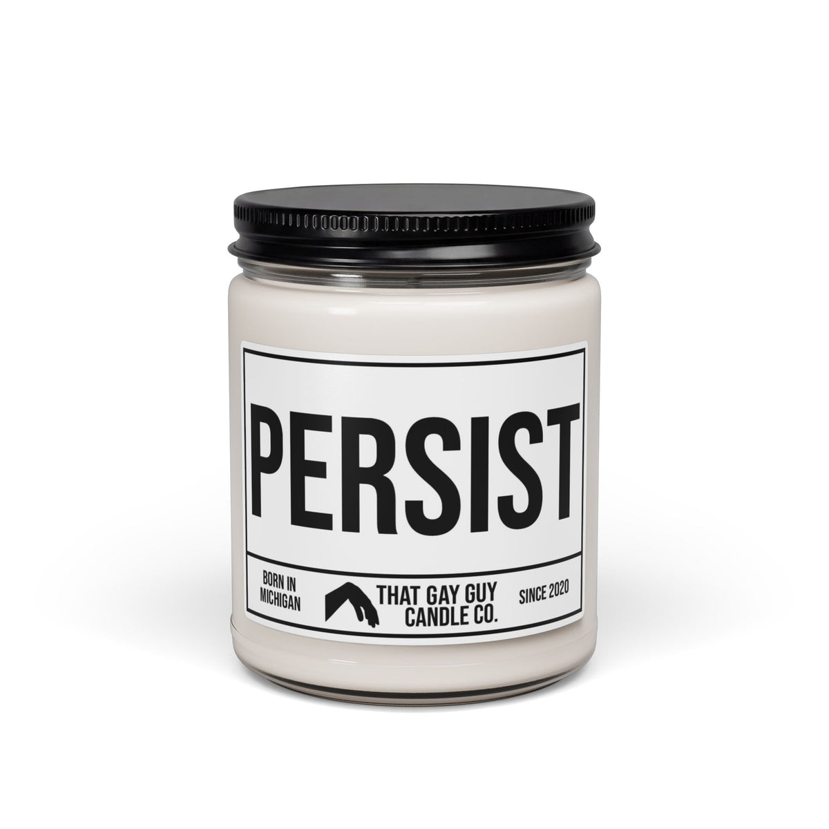 PERSIST