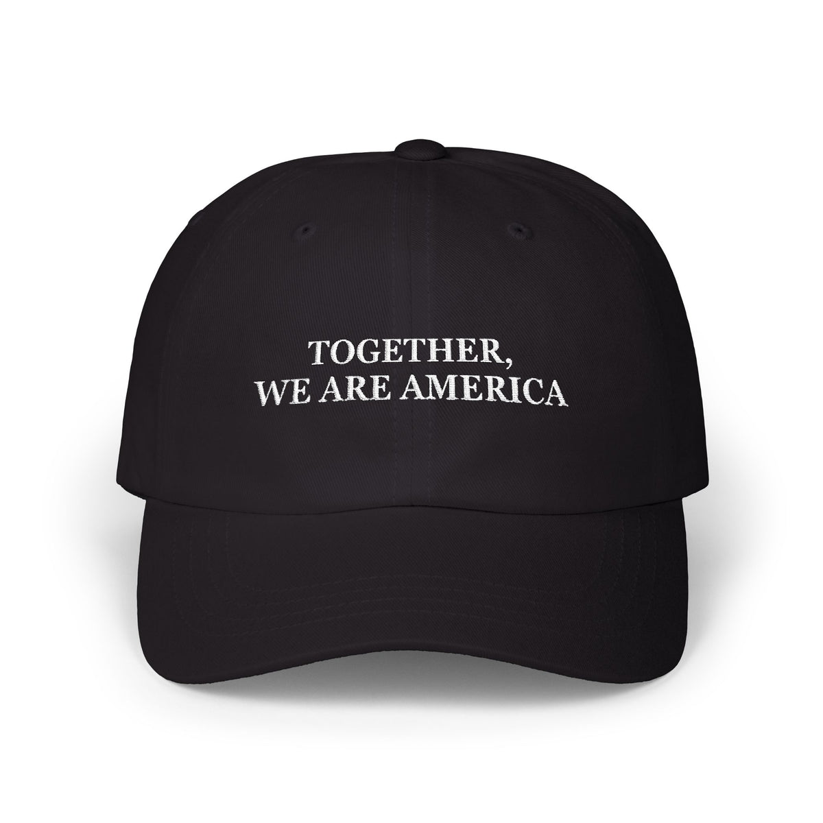 TOGETHER WE ARE AMERICA CAP