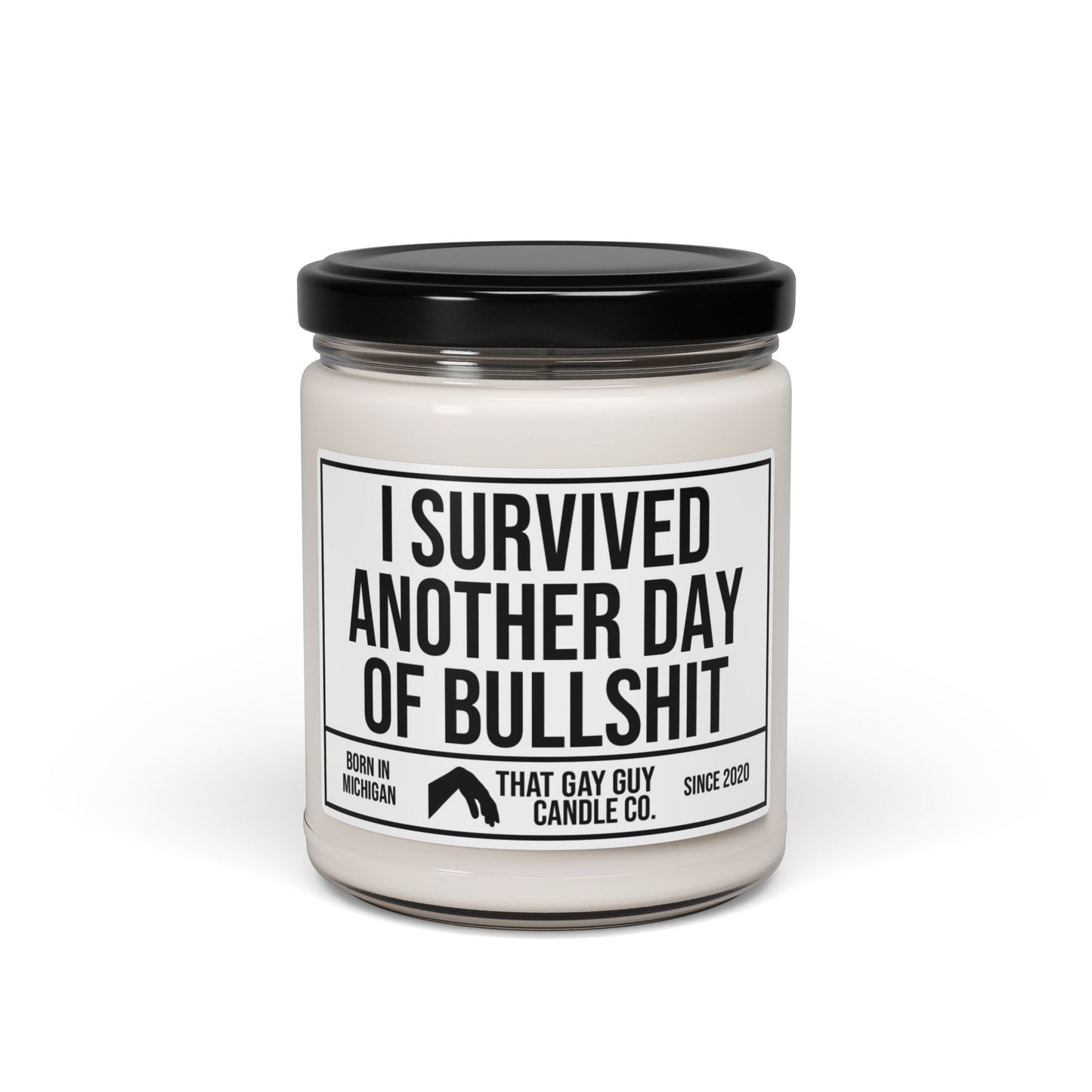 I SURVIVED ANOTHER DAY OF BULLSHIT