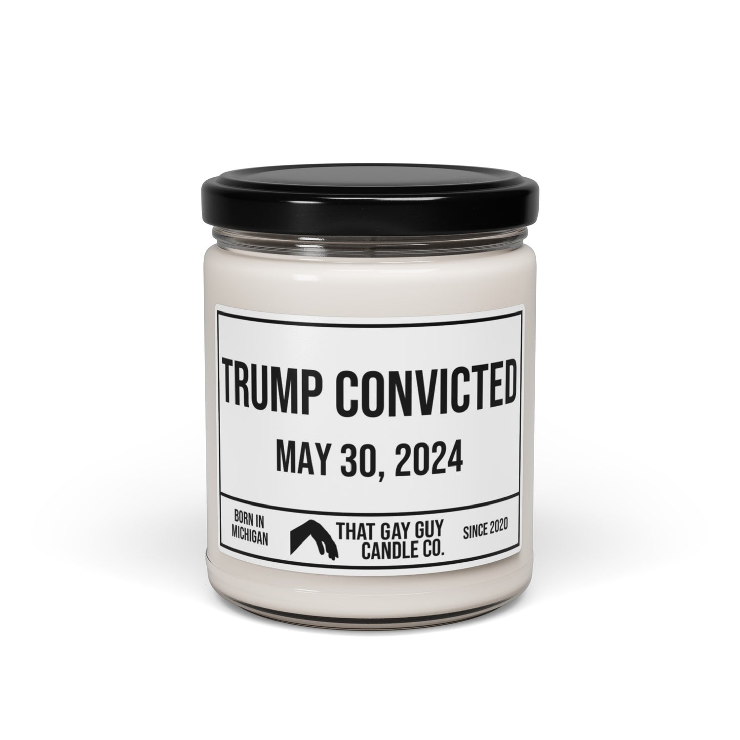 TRUMP CONVICTED - MAY 30, 2024