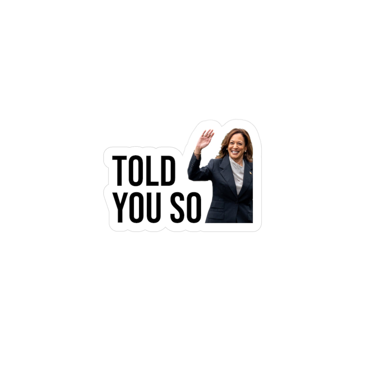 TOLD YOU SO STICKER