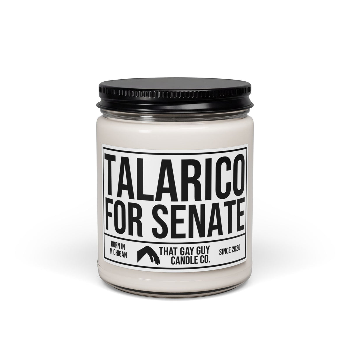 TALARICO FOR SENATE