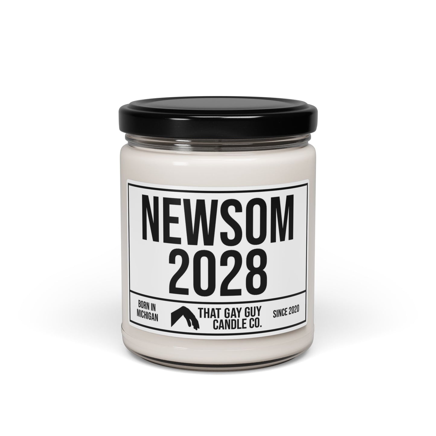 NEWSOM 2028